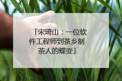 宋琦山：一位软件工程师到茶乡制茶人的蝶变