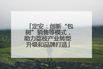 定安：创新“包树”销售等模式，助力荔枝产业转型升级和品牌打造