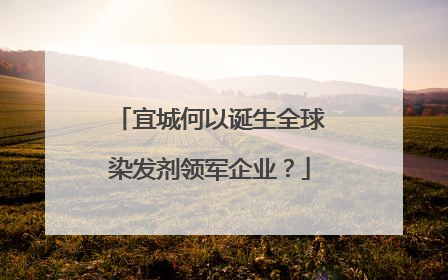 宜城何以诞生全球染发剂领军企业？