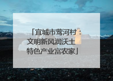 宜城市莺河村：文明新风润沃土 特色产业富农家