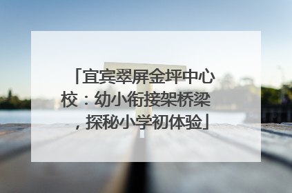 宜宾翠屏金坪中心校：幼小衔接架桥梁，探秘小学初体验