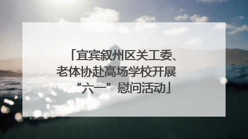 宜宾叙州区关工委、老体协赴高场学校开展“六一”慰问活动