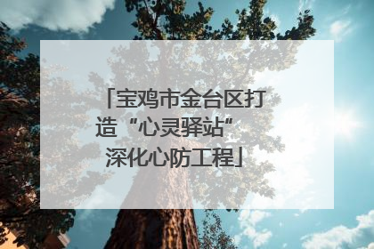 宝鸡市金台区打造“心灵驿站” 深化心防工程