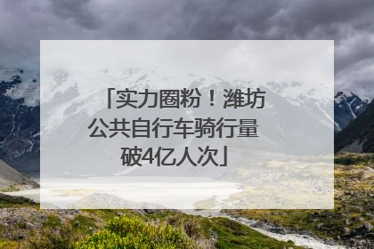 实力圈粉！潍坊公共自行车骑行量破4亿人次