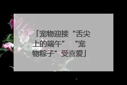 宠物迎接“舌尖上的端午” “宠物粽子”受喜爱