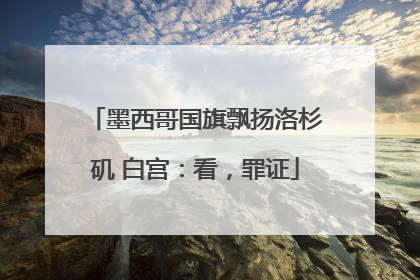 墨西哥国旗飘扬洛杉矶 白宫：看，罪证