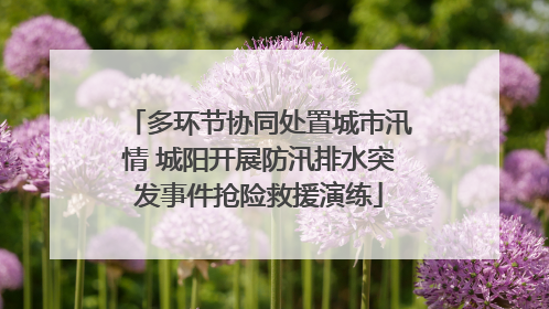 多环节协同处置城市汛情 城阳开展防汛排水突发事件抢险救援演练