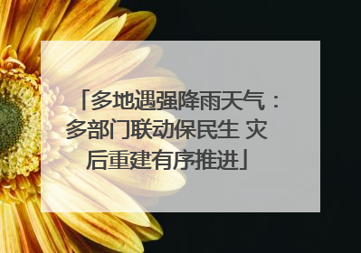 多地遇强降雨天气：多部门联动保民生 灾后重建有序推进