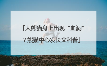 大熊猫身上出现“血洞”？熊猫中心发长文科普