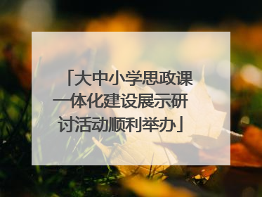 大中小学思政课一体化建设展示研讨活动顺利举办