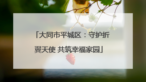 大同市平城区：守护折翼天使 共筑幸福家园