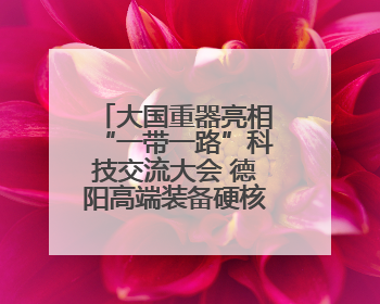 大国重器亮相“一带一路”科技交流大会 德阳高端装备硬核成果彰显实力