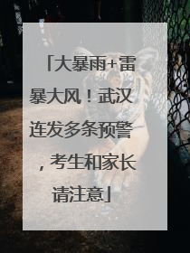 大暴雨+雷暴大风！武汉连发多条预警，考生和家长请注意