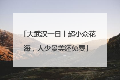 大武汉一日丨超小众花海，人少景美还免费