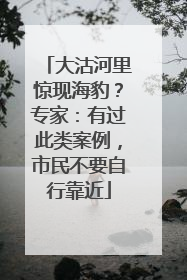 大沽河里惊现海豹？专家：有过此类案例，市民不要自行靠近