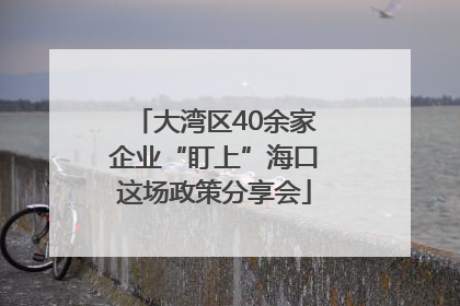 大湾区40余家企业“盯上”海口这场政策分享会