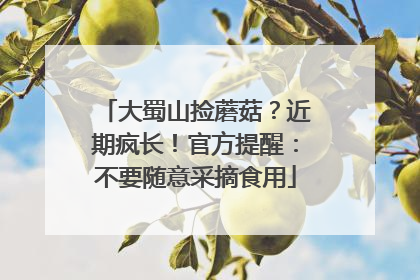 大蜀山捡蘑菇？近期疯长！官方提醒：不要随意采摘食用