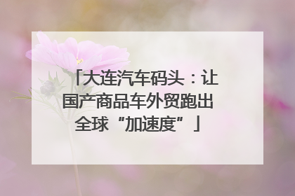 大连汽车码头：让国产商品车外贸跑出全球“加速度”