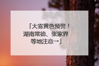 大雾黄色预警！湖南常德、张家界等地注意→