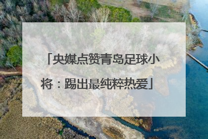 央媒点赞青岛足球小将：踢出最纯粹热爱
