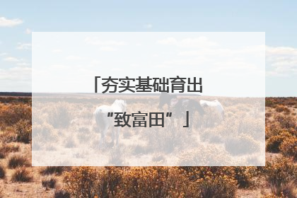 夯实基础育出“致富田”