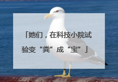 她们，在科技小院试验变“粪”成“宝”