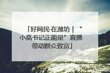 好网民·在潍坊｜“小高书记正能量”直播 带动群众致富