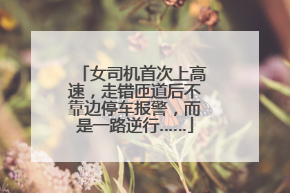 女司机首次上高速，走错匝道后不靠边停车报警，而是一路逆行……