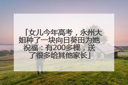 女儿今年高考，永州大姐种了一块向日葵田为她祝福：有200多棵，送了很多给其他家长