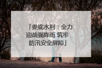 娄底水利：全力迎战强降雨 筑牢防汛安全屏障