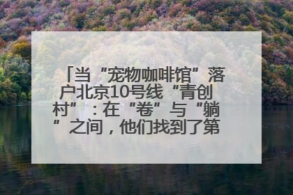 当“宠物咖啡馆”落户北京10号线“青创村”：在“卷”与“躺”之间，他们找到了第三种生活公式