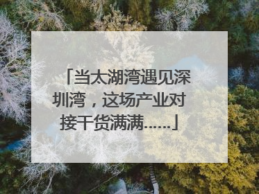 当太湖湾遇见深圳湾，这场产业对接干货满满……