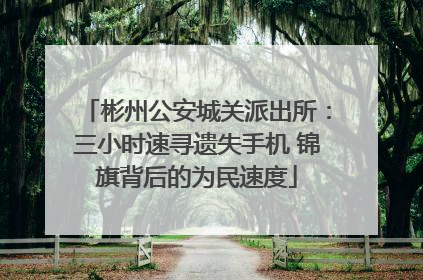 彬州公安城关派出所：三小时速寻遗失手机 锦旗背后的为民速度