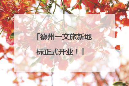 德州一文旅新地标正式开业！