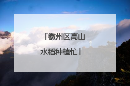 徽州区高山水稻种植忙