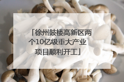 徐州鼓楼高新区两个10亿级重大产业项目顺利开工