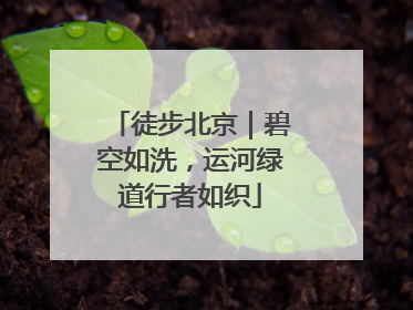 徒步北京｜碧空如洗，运河绿道行者如织