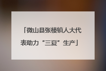 微山县张楼镇人大代表助力“三夏”生产