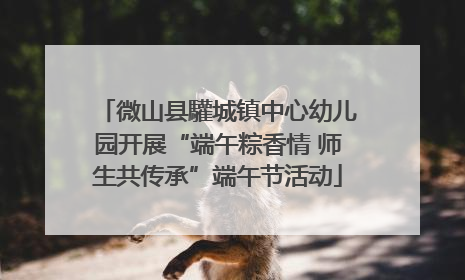 微山县驩城镇中心幼儿园开展“端午粽香情 师生共传承”端午节活动