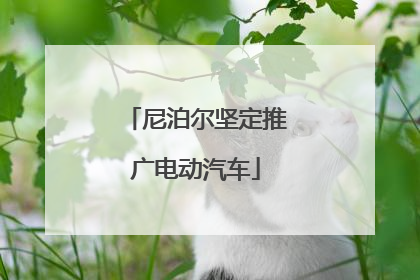 尼泊尔坚定推广电动汽车