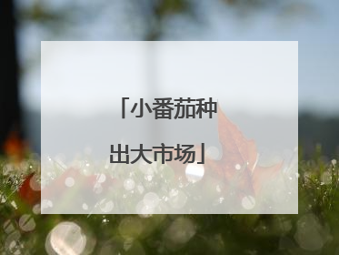 小番茄种出大市场
