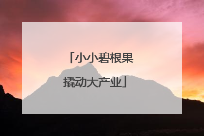 小小碧根果撬动大产业