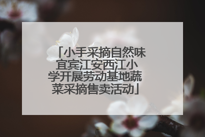 小手采摘自然味 宜宾江安西江小学开展劳动基地蔬菜采摘售卖活动