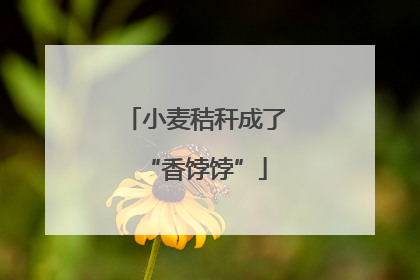小麦秸秆成了“香饽饽”