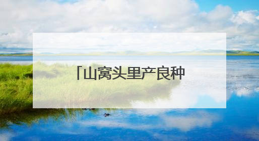 山窝头里产良种，600多亩地增收近20万元