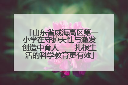山东省威海高区第一小学在守护天性与激发创造中育人——扎根生活的科学教育更有效