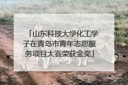 山东科技大学化工学子在青岛市青年志愿服务项目大赛荣获金奖