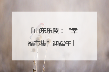 山东乐陵：“幸福市集”迎端午
