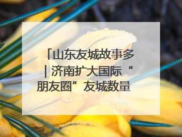 山东友城故事多｜济南扩大国际“朋友圈”友城数量达92对