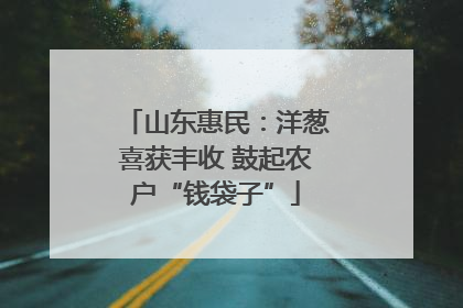 山东惠民：洋葱喜获丰收 鼓起农户“钱袋子”